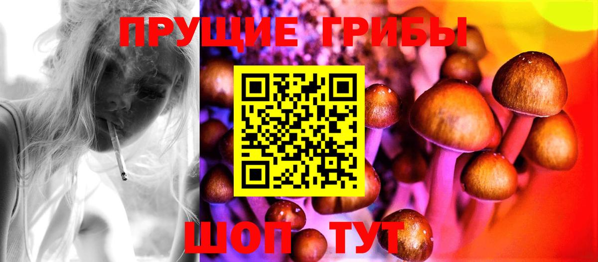 Галлюциногенные грибы ЛСД Тамбов