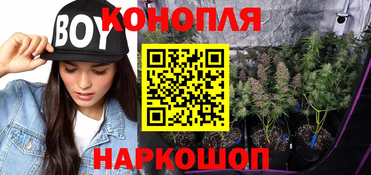 Канабис план  Конопля MAZAR  Бошки марихуана OG Kush  Марихуана марихуана  Вход с VPN  Тамбов 